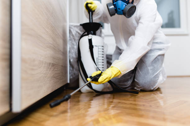 Best Best Pest Control Companies  in Springville, UT