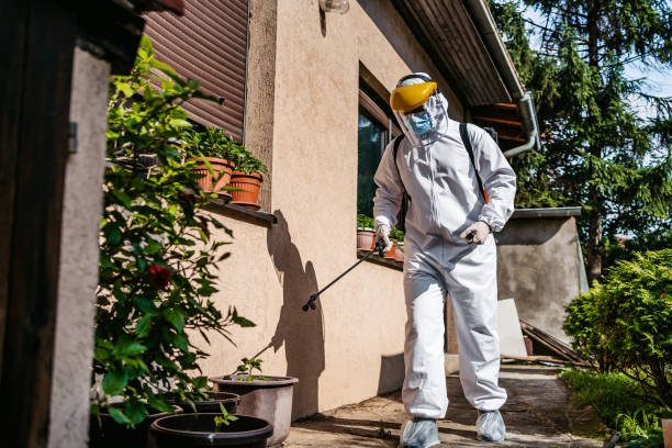 Best Ant Control Services  in Springville, UT